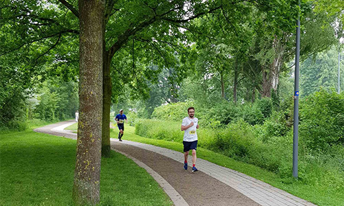 Mehrere Personen joggen auf einem kurvigen Weg im Grünen, umgeben von Bäumen und Sträuchern an einem bewölkten Tag.